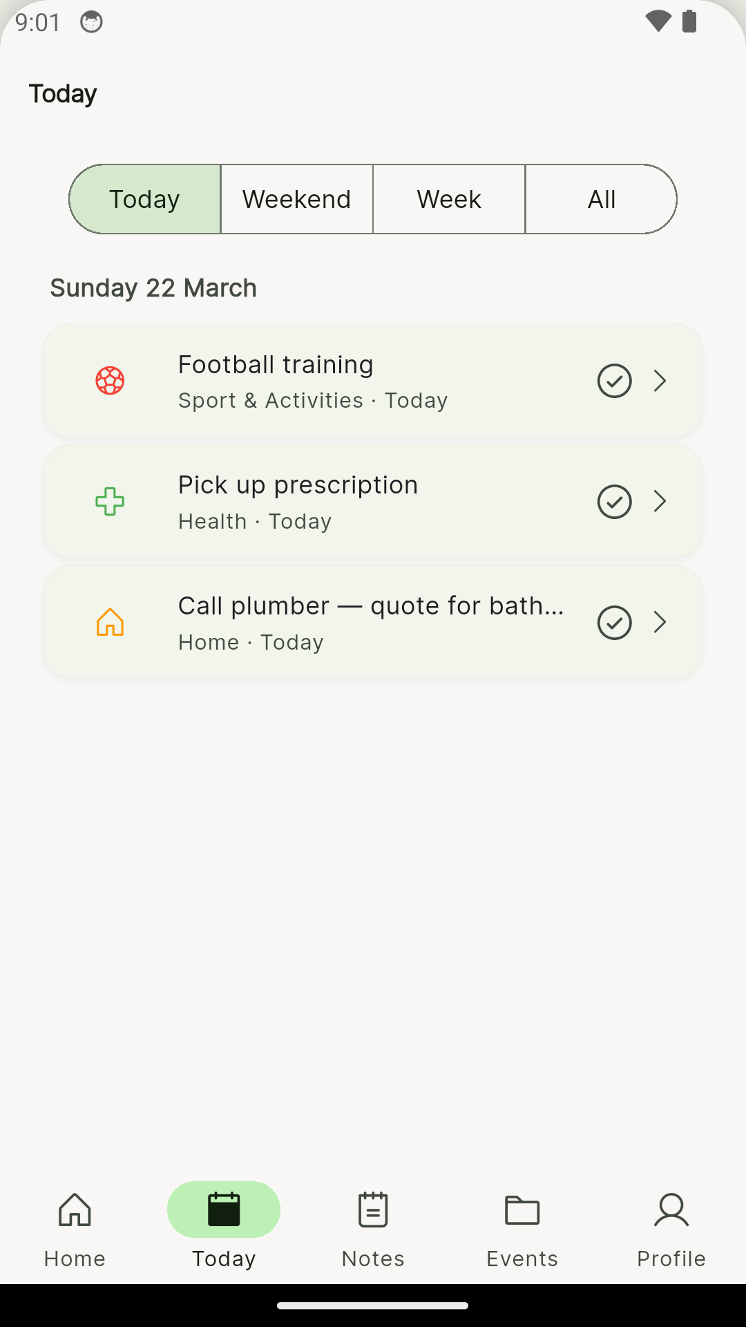 BusyDad today view — all upcoming entries across categories